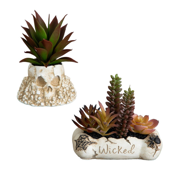 5” Artificial Halloween Succulent Garden in Haunted Planter - Set of 2