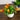 5” Artificial Mini Flowering Plant in White Decorative Oval Planter  - Set of 4