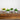 5” Artificial Mini Flowering Plant in White Decorative Oval Planter  - Set of 4