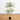 5’ Artificial Minimalist Jacaranda Tree