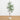 5’ Artificial Minimalist Olive Tree in White Decorative Planter