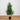 5' Artificial Norfolk Pine Tree