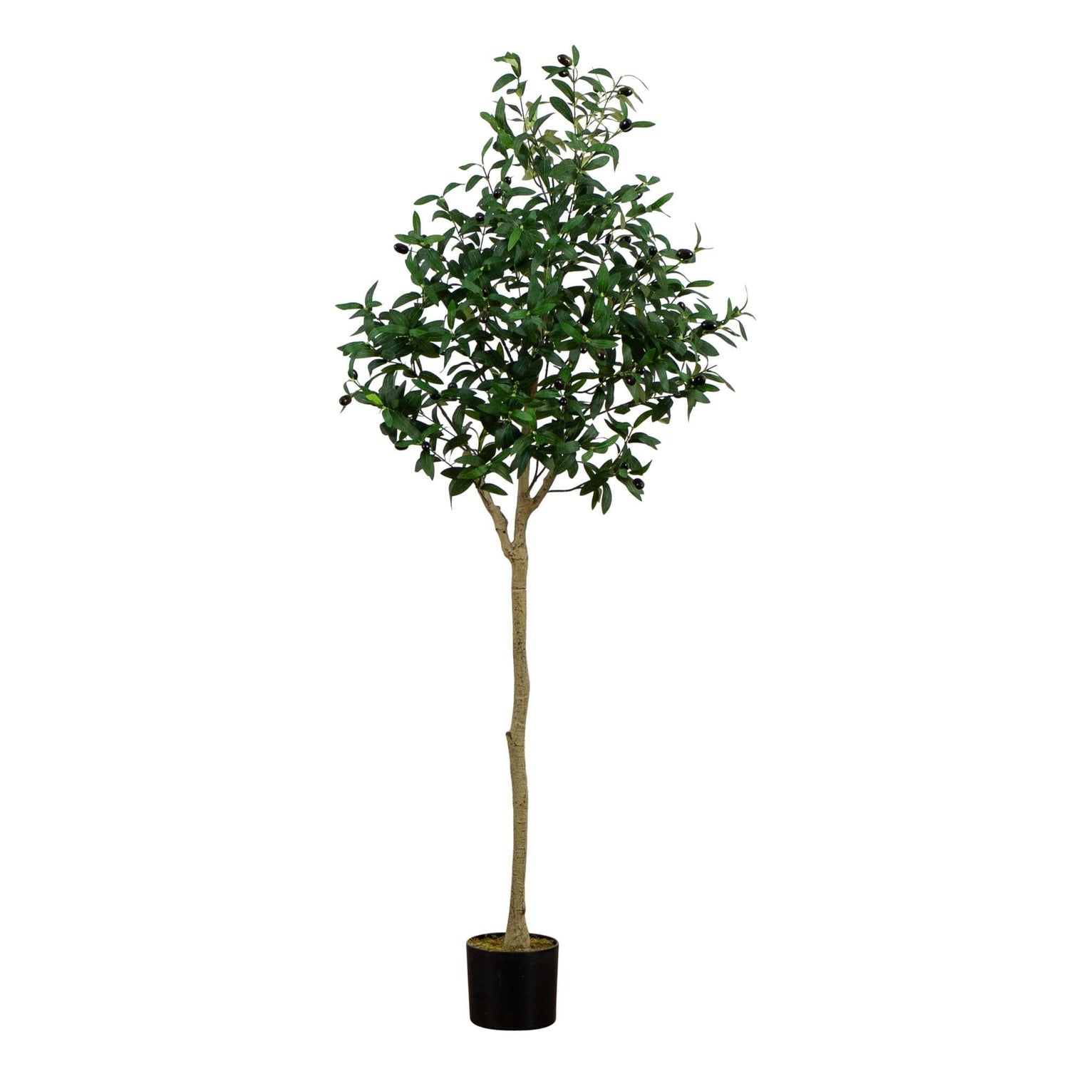 5’ Artificial Olive Tree