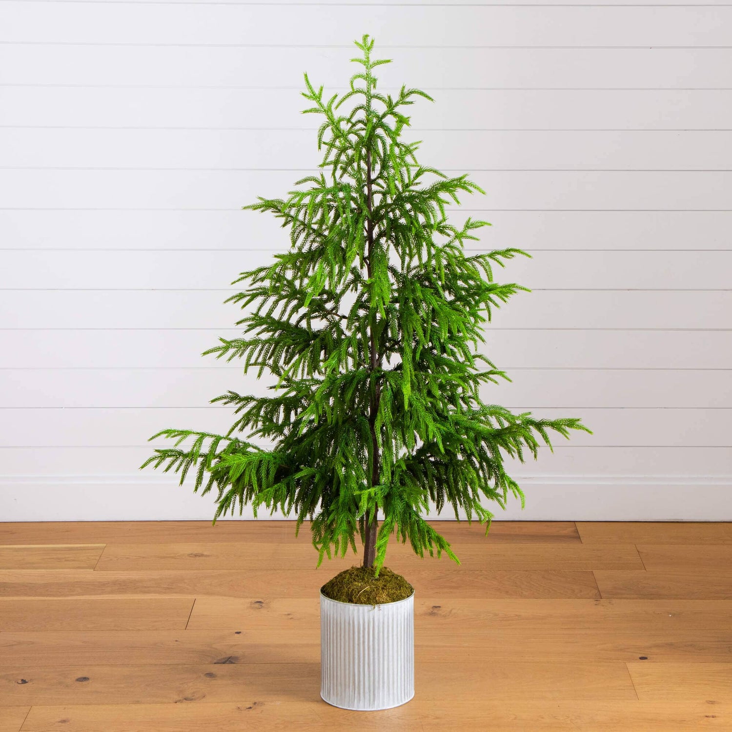 5' Artificial Real Touch Norfolk Island Pine in Metal Tin Planter with Natural Look