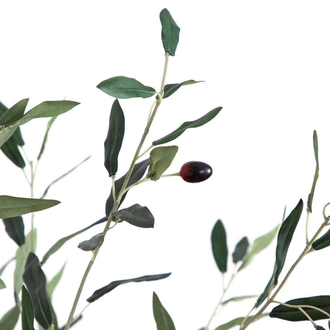Albero bonsai in miniatura fatto a mano, scala 1/12 - Italia