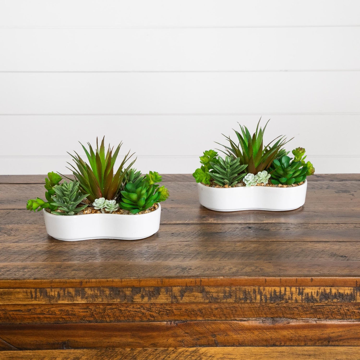 5" Artificial Succulent Garden in Ceramic White Planter -Set of 2