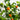 5’ Artificial Tangerine Tree