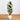 5’ Azalea Artificial Tree in White Planter