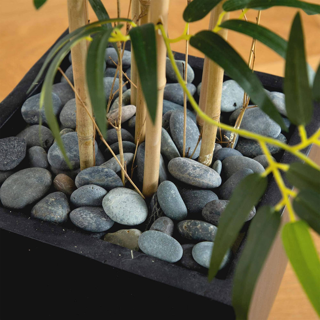 bamboo succulent planter 5' Bamboo Artificial Tree in Black Wash Planter