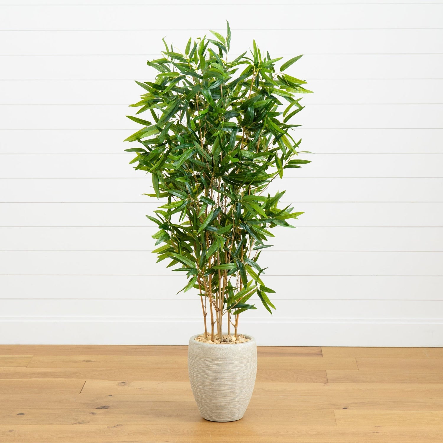 can lucky bamboo grow in sand 5' Bamboo Artificial Tree in Sand Colored Planter (Real Touch) UV Resistant (Indoor/Outdoor)