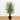 5’ Bamboo Silk Tree w/Planter