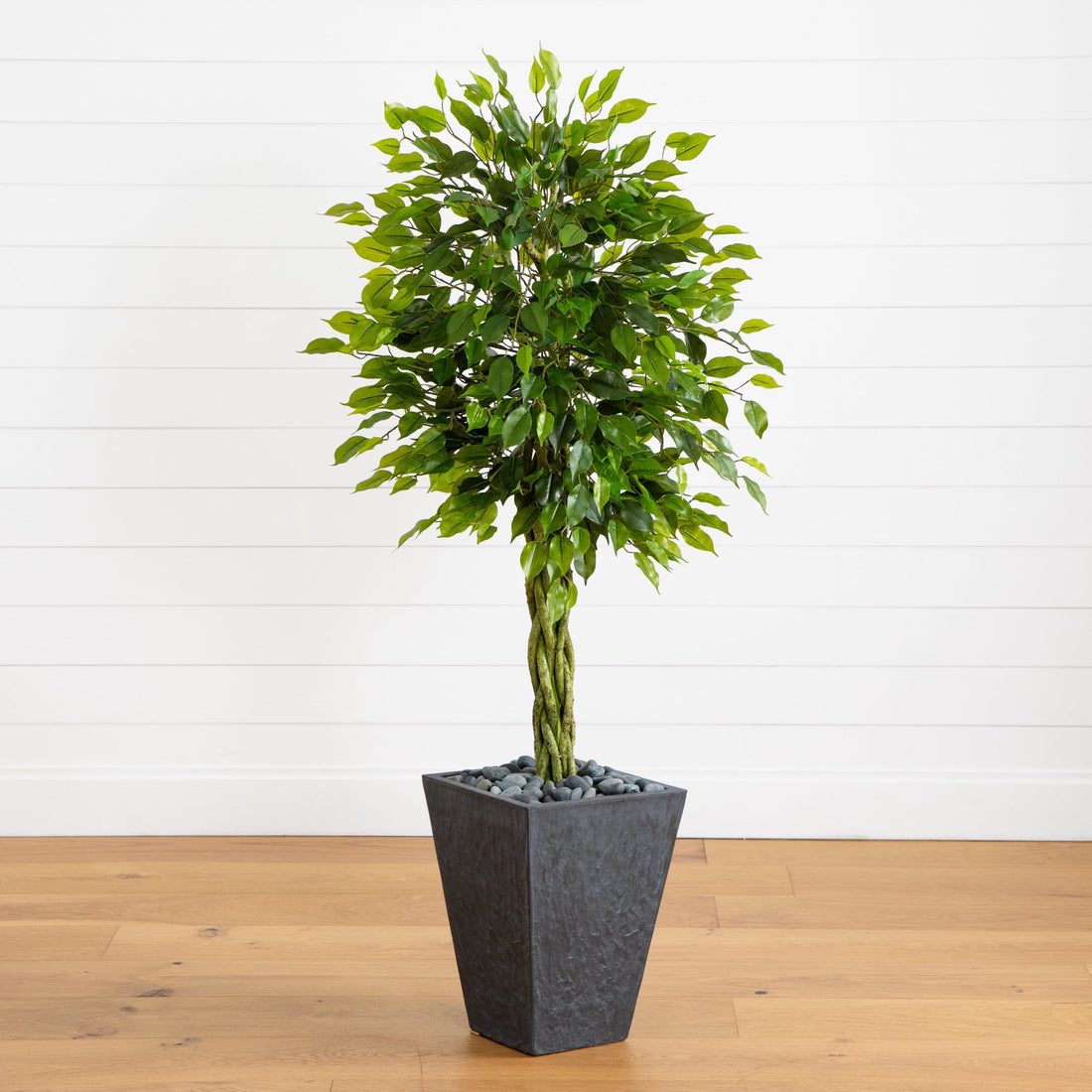 indoor plants 5 feet 5' Braided Ficus Artificial Tree in Slate Planter UV Resistant (Indoor/Outdoor)