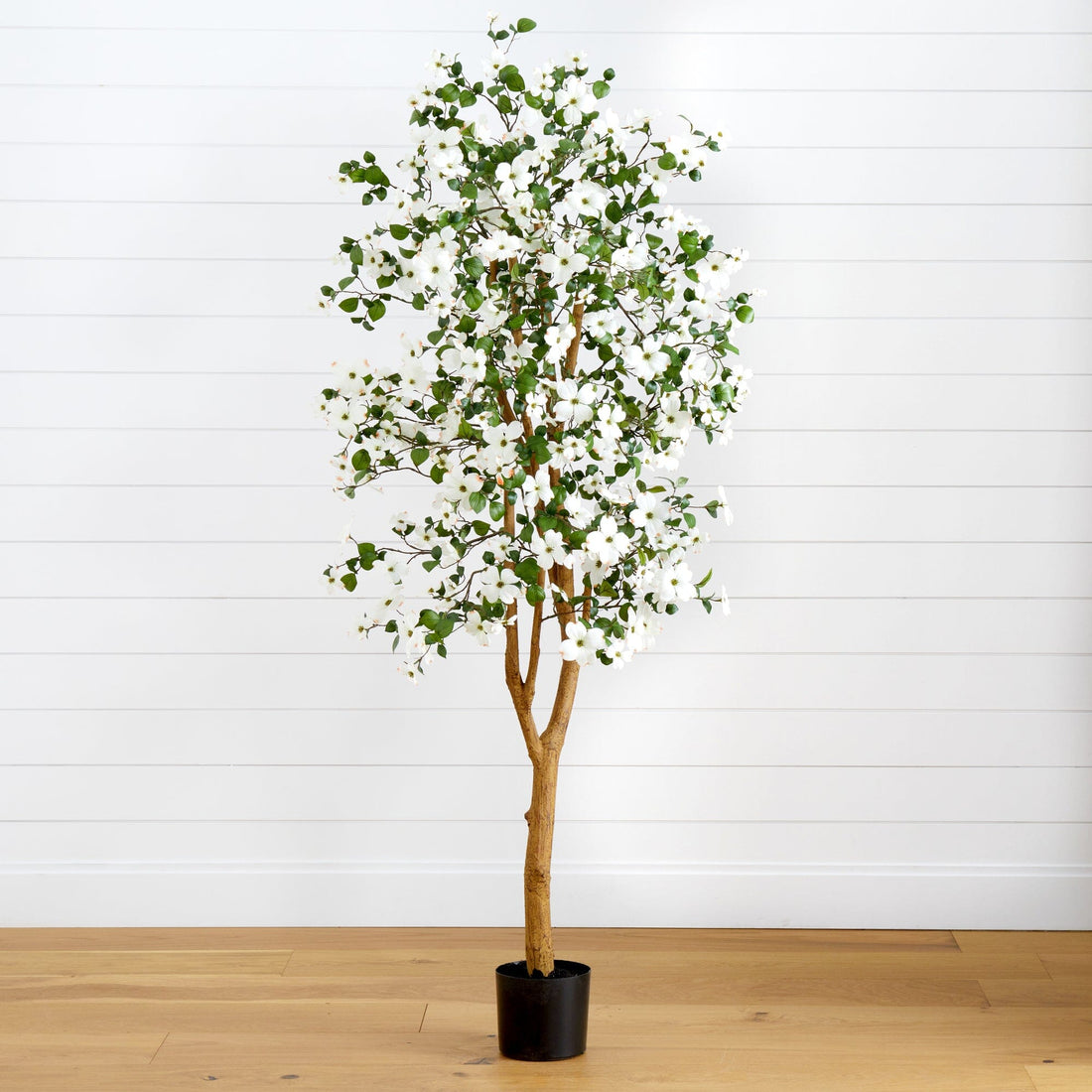 dogwood bonsai tree for sale 5' Dogwood Silk Tree