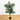 5’ Double Stalk Golden Cane Artificial Palm Tree