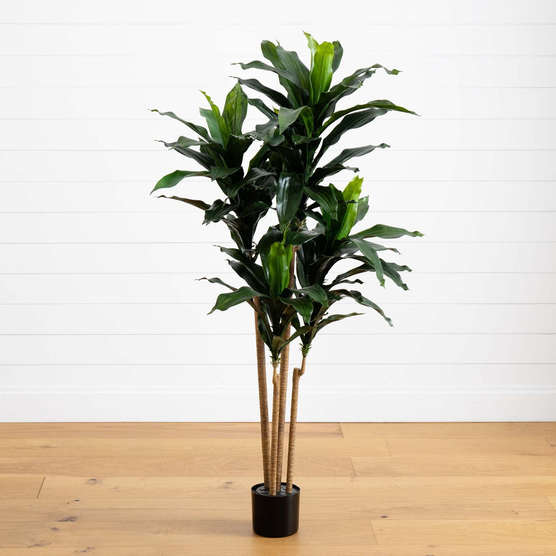 indoor standing plant Nearly Natural 5 ft. UV-Resistant Indoor/Outdoor Dracaena Plant
