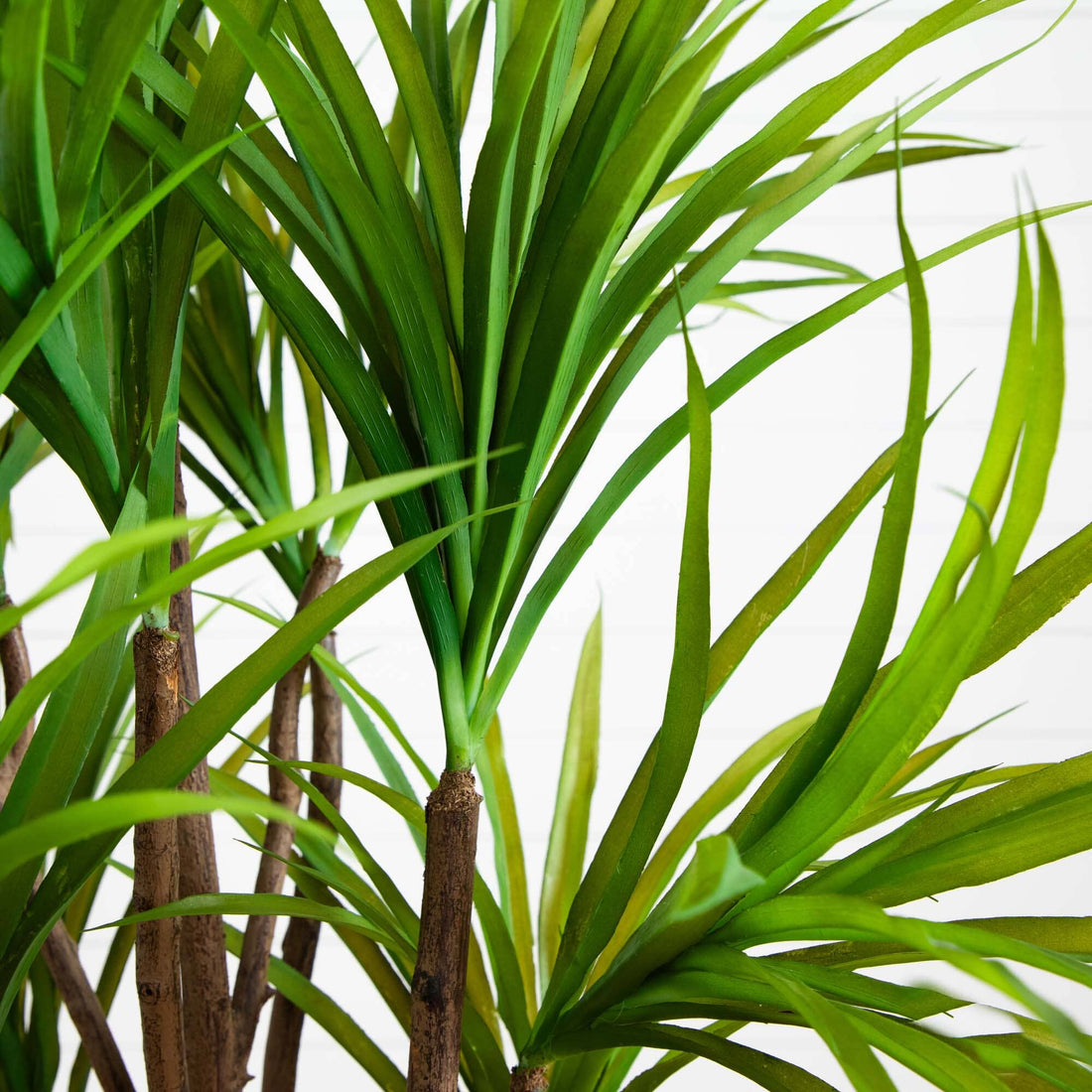 nearly natural dracaena 5' Dracaena Silk Tree