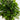 5' Ficus Artificial Topiary Tree UV Resistant (Indoor/Outdoor)