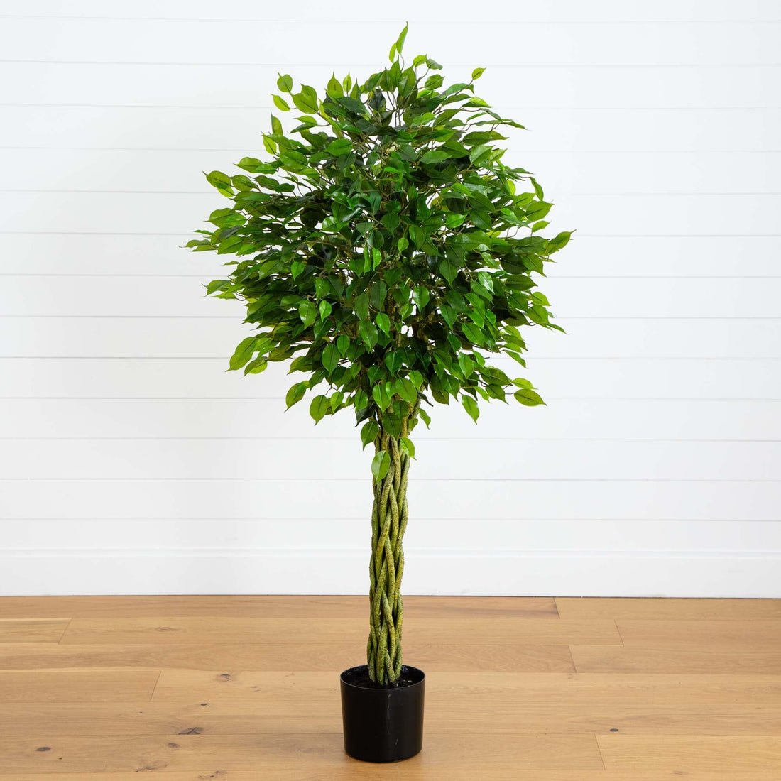indoor plant with trunk 5' Ficus Artificial Tree with Woven Trunk UV Resistant (Indoor/Outdoor)