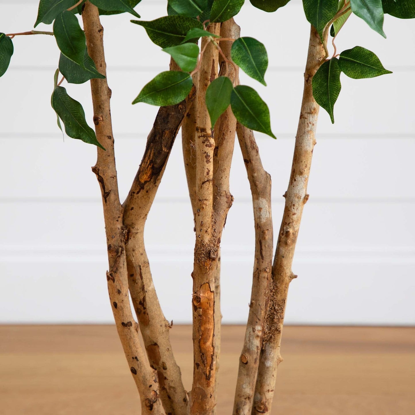 5' Ficus Bushy Silk Tree | Nearly Natural