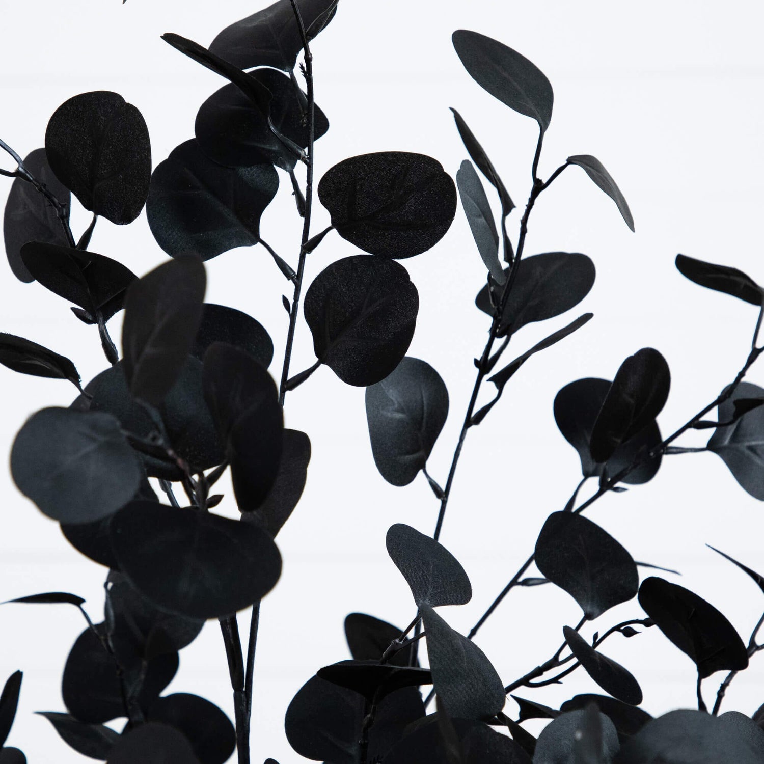 5' Artificial Halloween Black Eucalyptus Tree