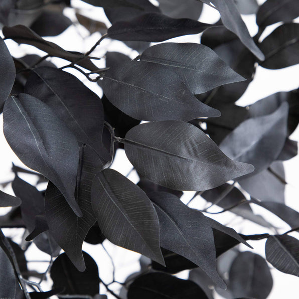 5' Artificial Halloween Black Ficus Tree with Natural Trunk