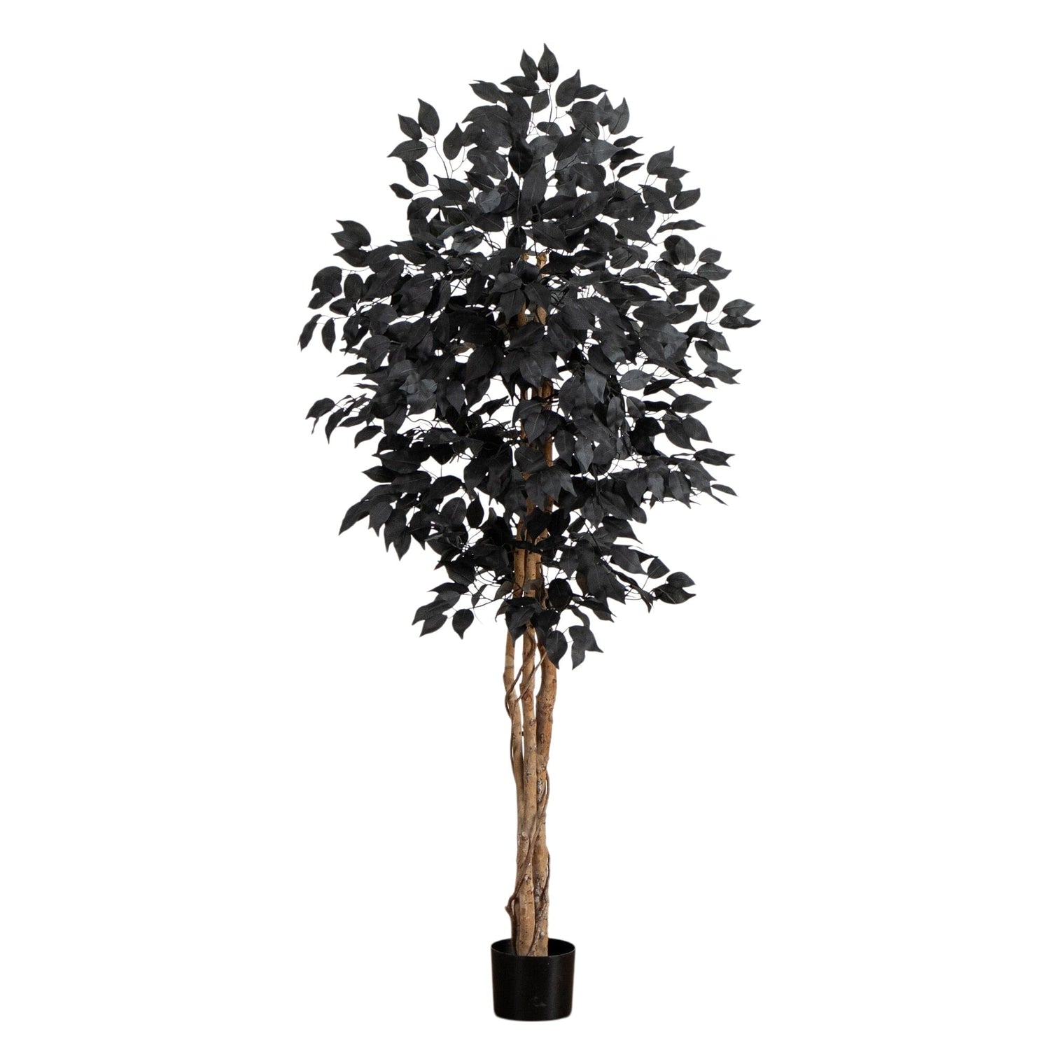 5' Artificial Halloween Black Ficus Tree with Natural Trunk