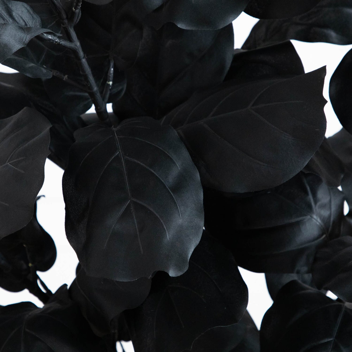 5' Artificial Halloween Black Fiddle Leaf Tree