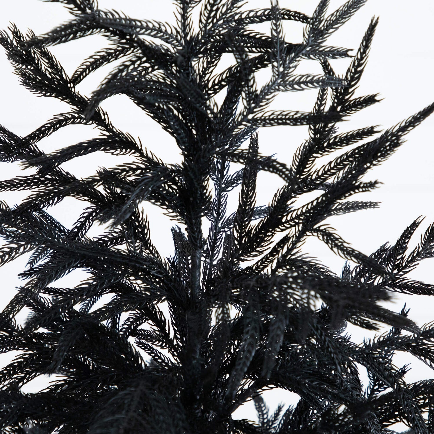5' Artificial Halloween Real Touch Black Norfolk Pine Christmas Tree with Natural Look