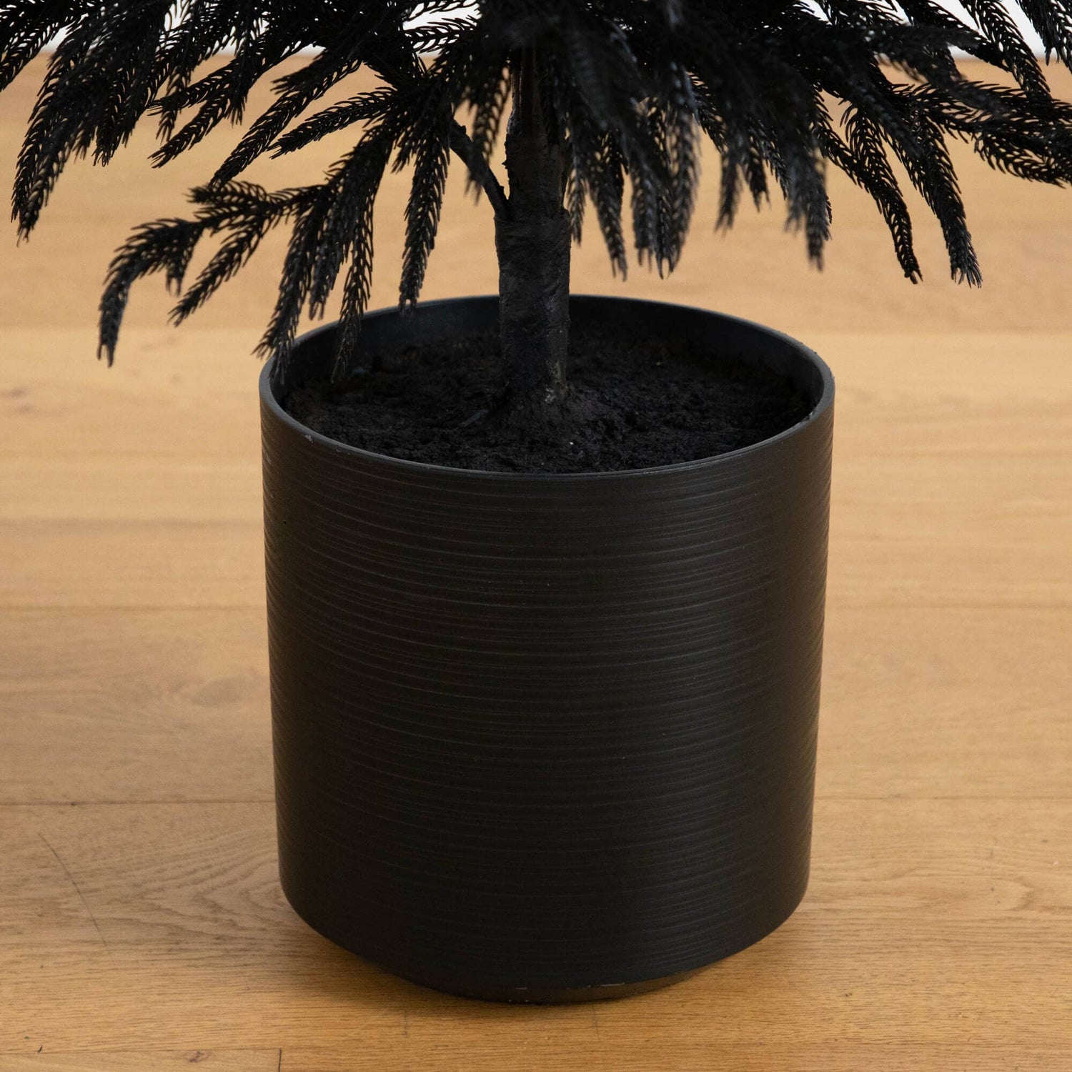 5' Artificial Halloween Real Touch Black Norfolk Pine Christmas Tree with Natural Look