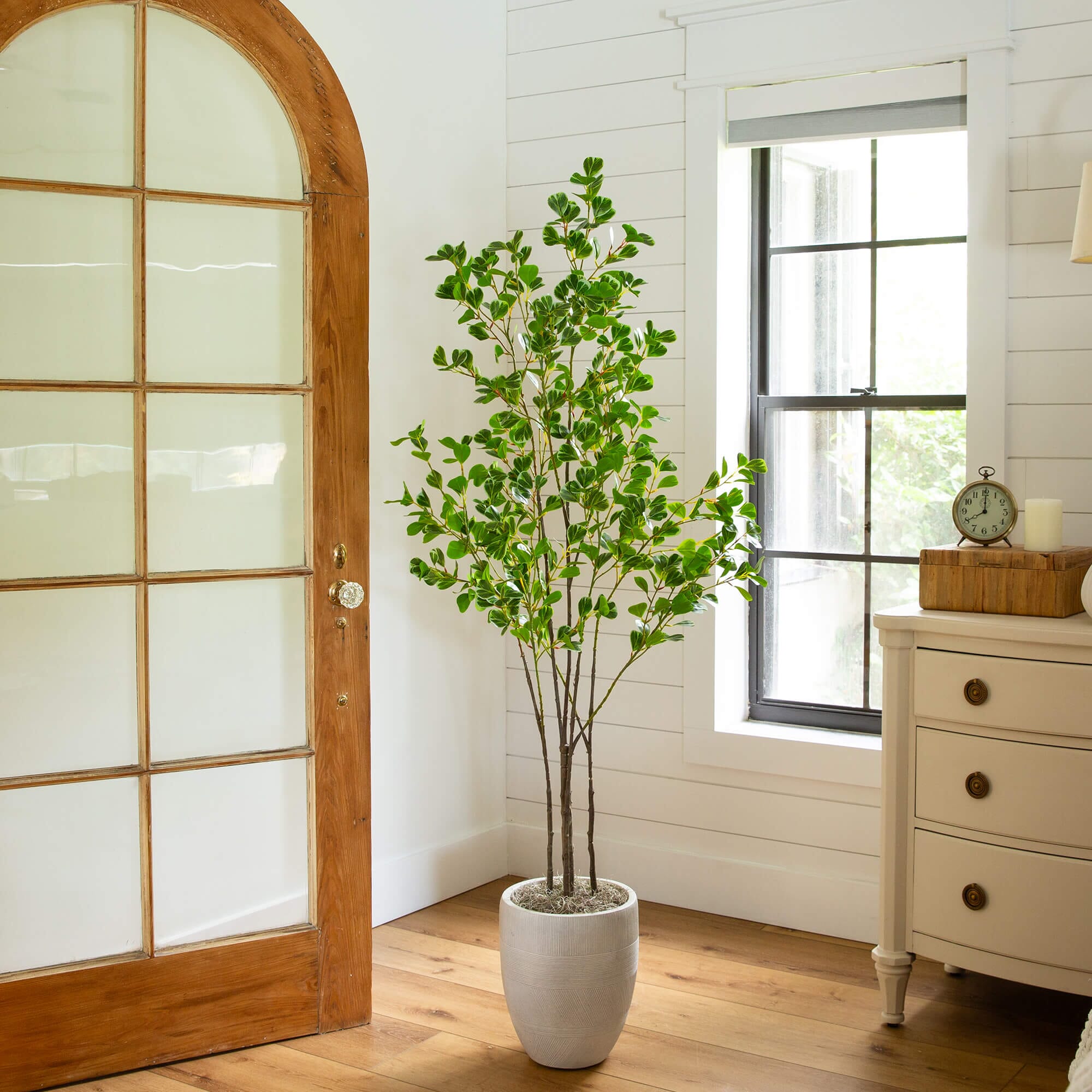 5' Artificial Heart Shaped Ficus Leaf Tree – Nearly Natural