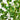 5' Artificial Heart Shaped Ficus Leaf Tree