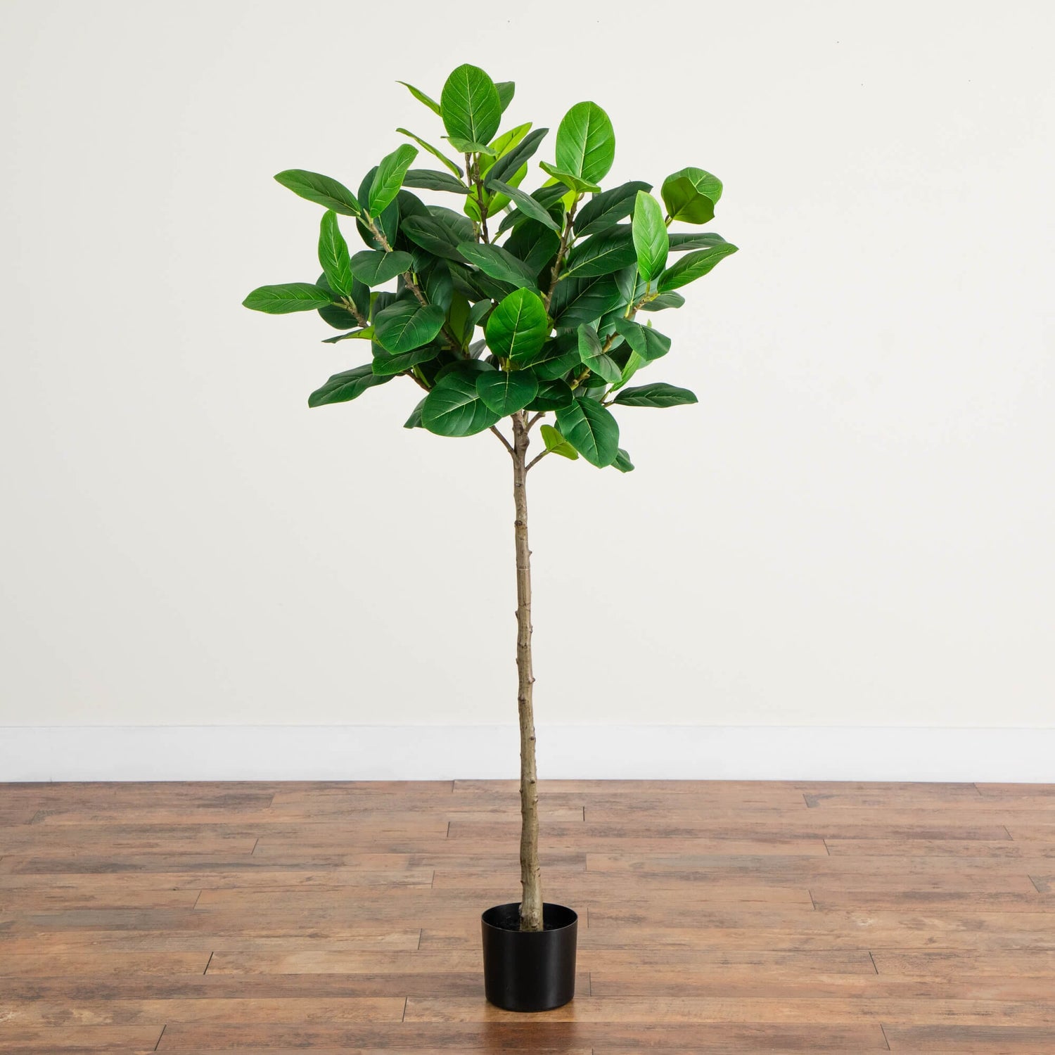 5' Artificial Petite Audrey Ficust Tree