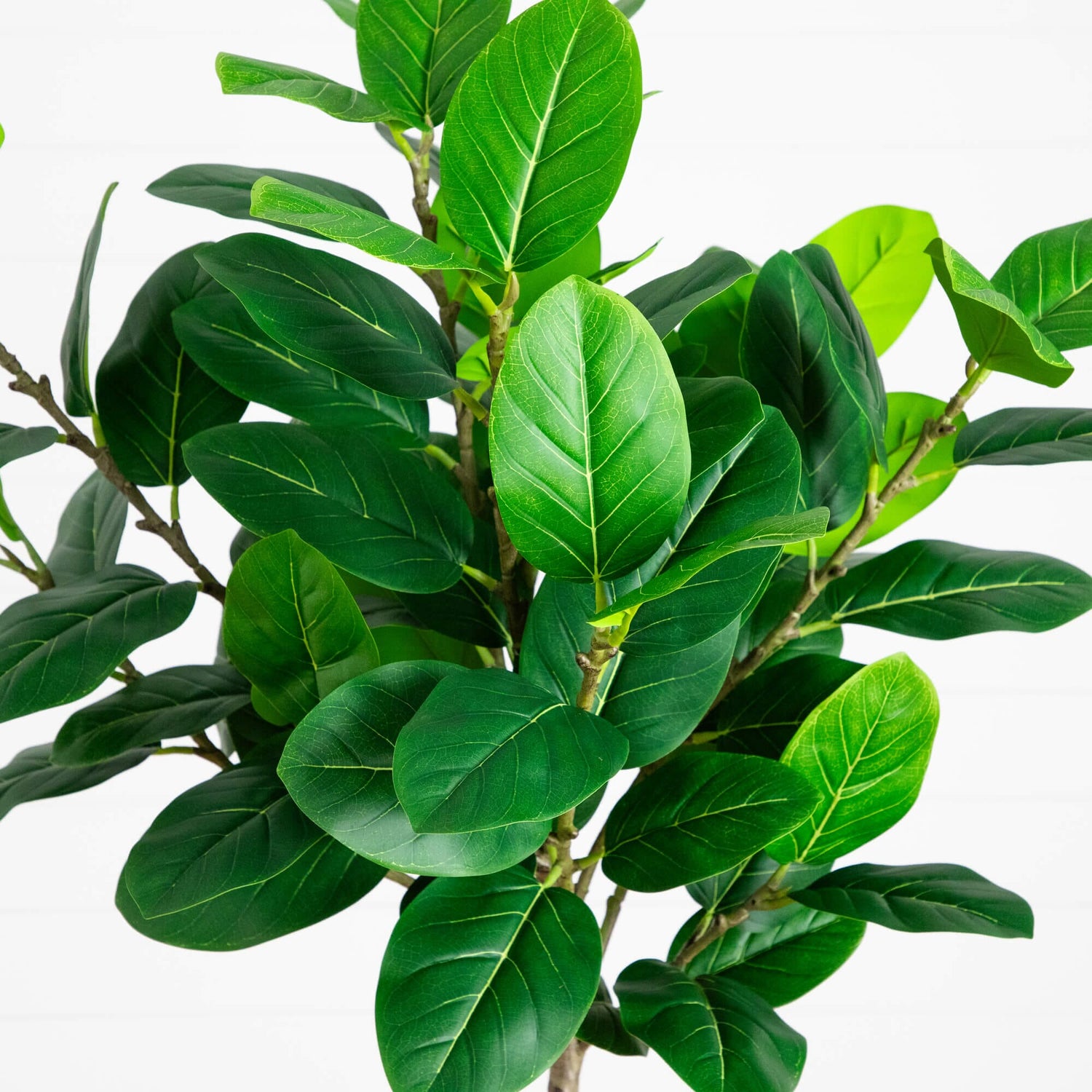 5' Artificial Petite Audrey Ficust Tree
