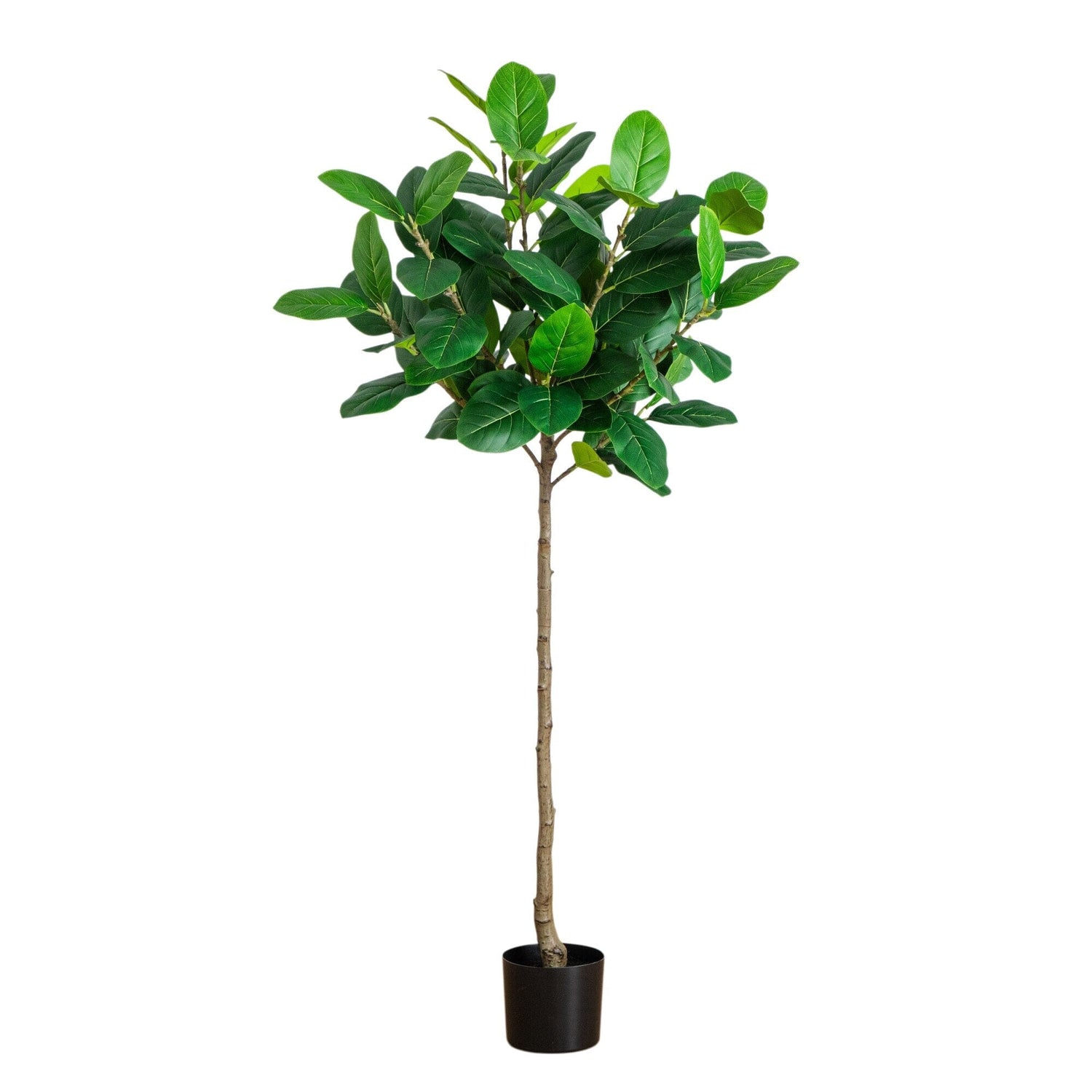 5' Artificial Petite Audrey Ficust Tree