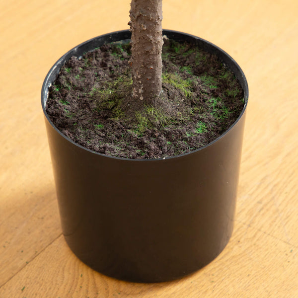 5' Artificial Real Touch Down Swept Norfolk Pine Tree with Natural Look