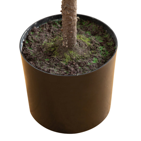 5' Artificial Real Touch Down Swept Norfolk Pine Tree with Natural Look