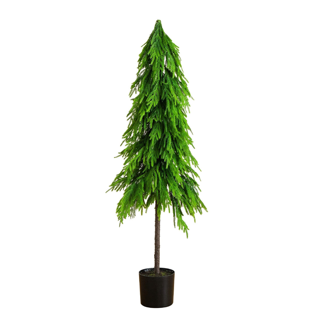 ENVEN 4FT Pre-Lit Artificial Norfolk Pine Christmas Tree – Realistic Potted Tree with 100 LED Lights & 8-Function Battery Box, Pre-Assembled Faux Holiday Décor for Indoor Use ENVEN 4FT Pre-Lit Artificial Norfolk Pine Christmas Tree – Realistic Potted Tree with 100 LED Lights & 8-Function Battery Box, Pre-Assembled Faux Holiday Décor for Indoor Use