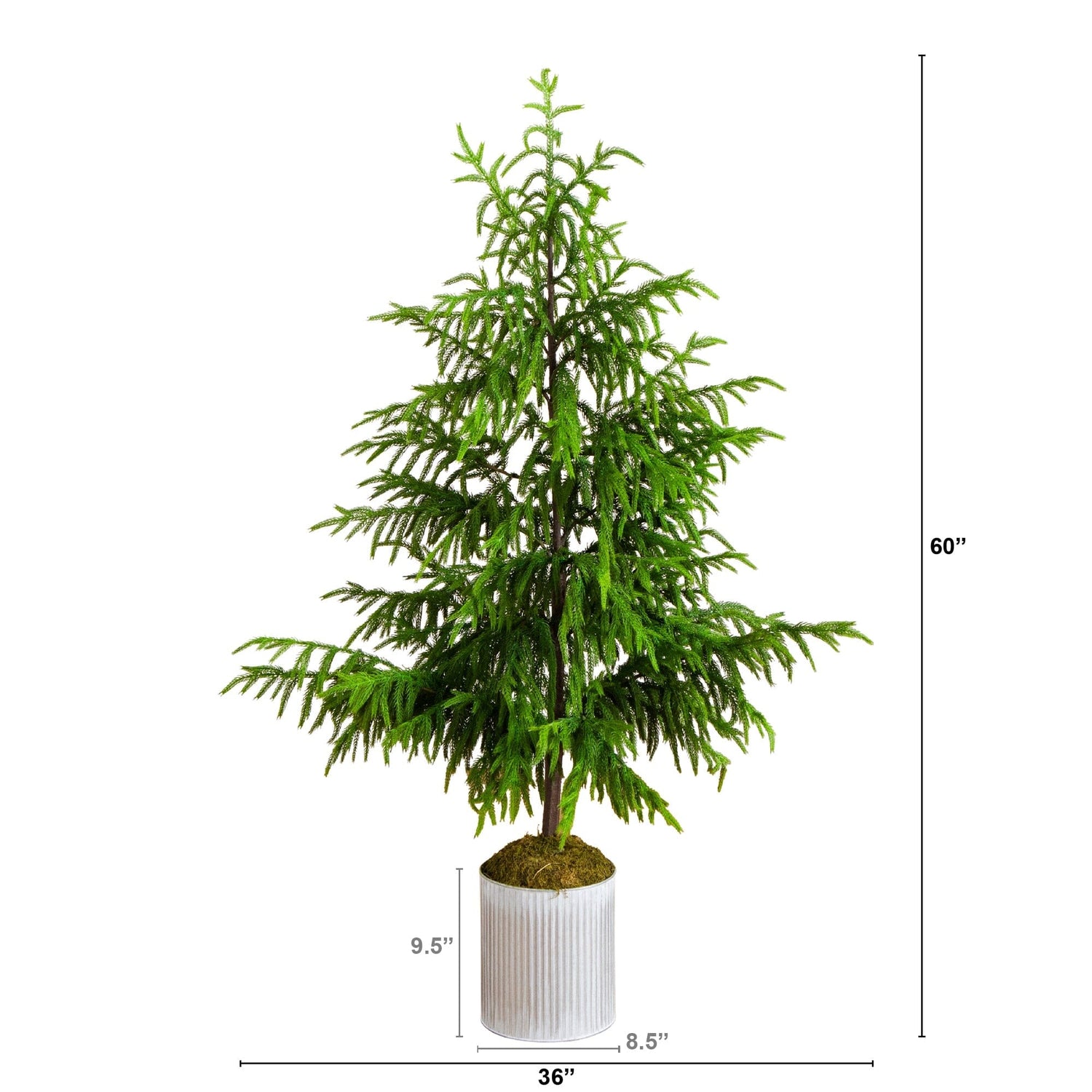 5' Artificial Real Touch Norfolk Island Pine in Metal Tin Planter with Natural Look