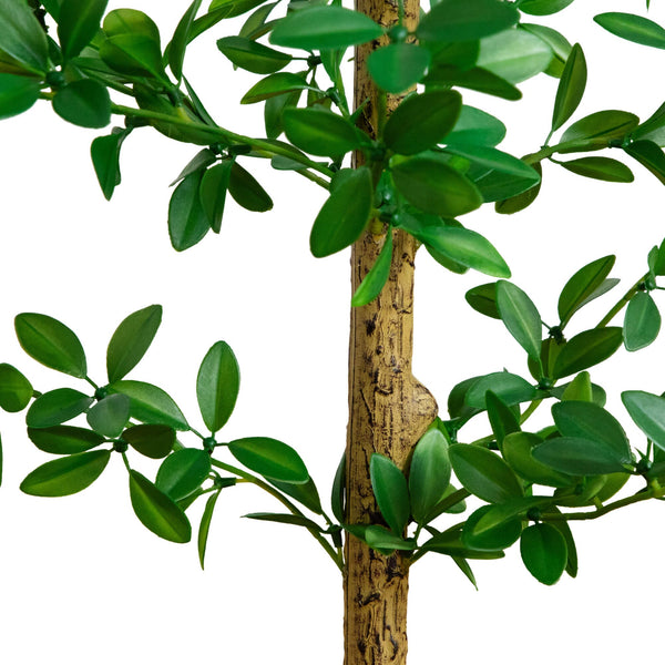 black olive plant indoor 5' Artificial Shady Lady Black Olive Tree – Nearly Natural