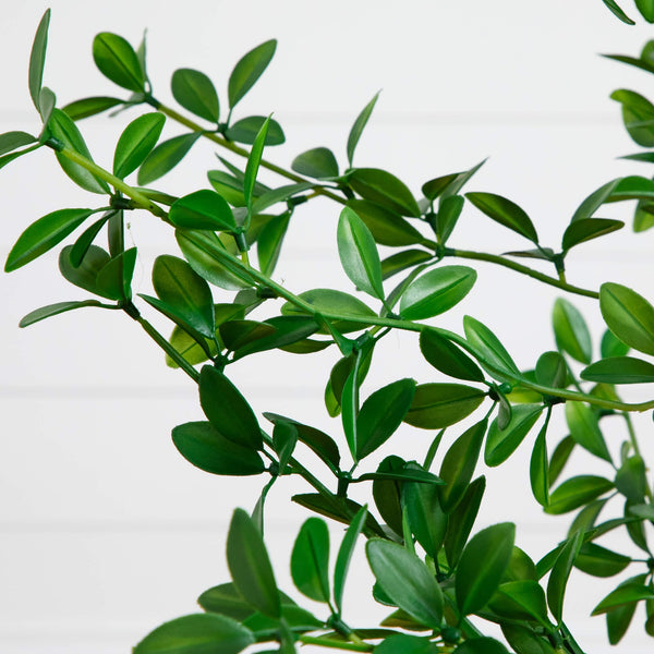 5' Artificial Shady Lady Black Olive Tree
