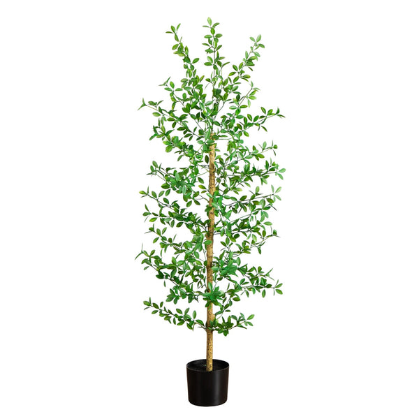 5' Artificial Shady Lady Black Olive Tree