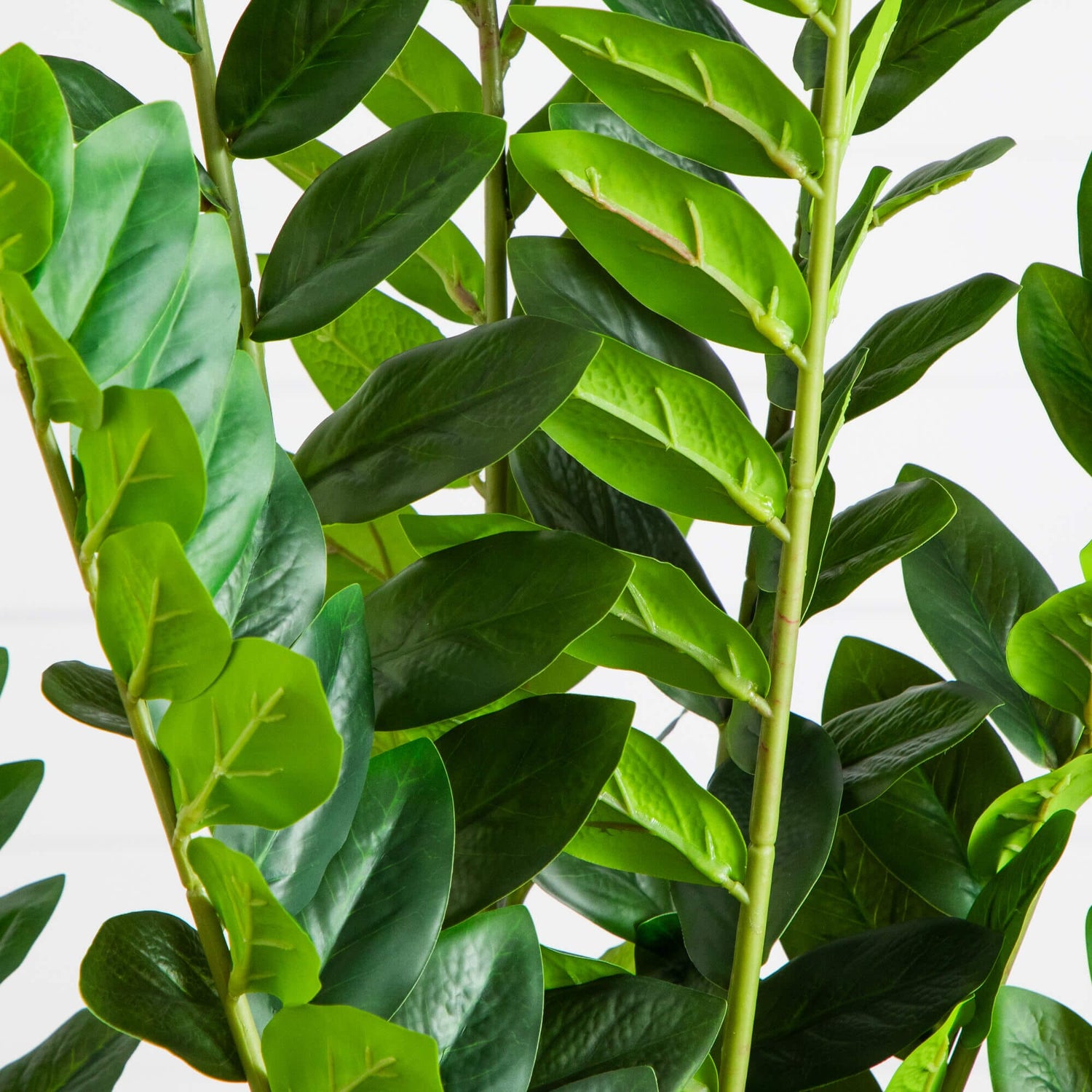 5' Artificial Zamioculcas Plant