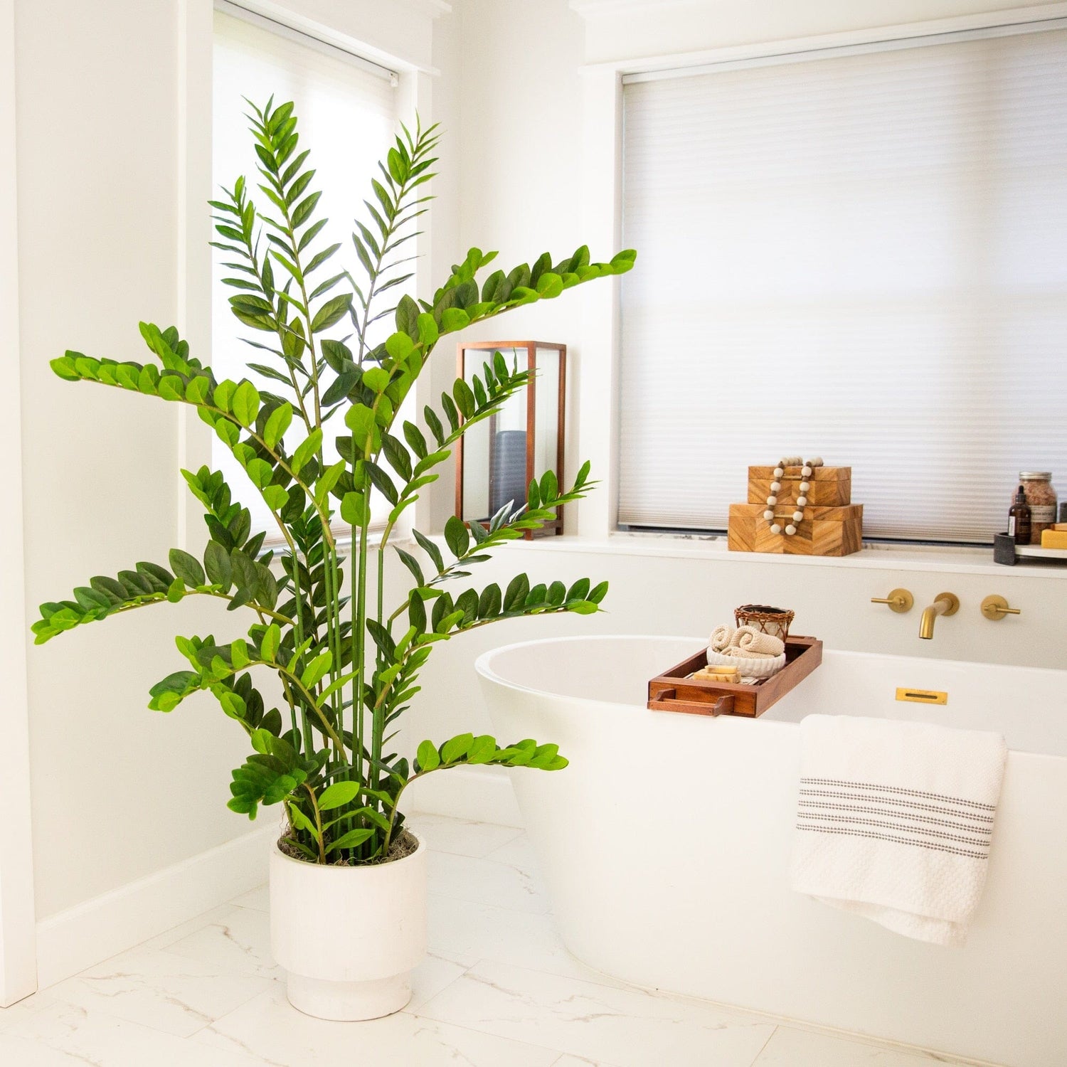 zz plant for bathroom 5' Artificial Zamioculcas Plant – Nearly Natural