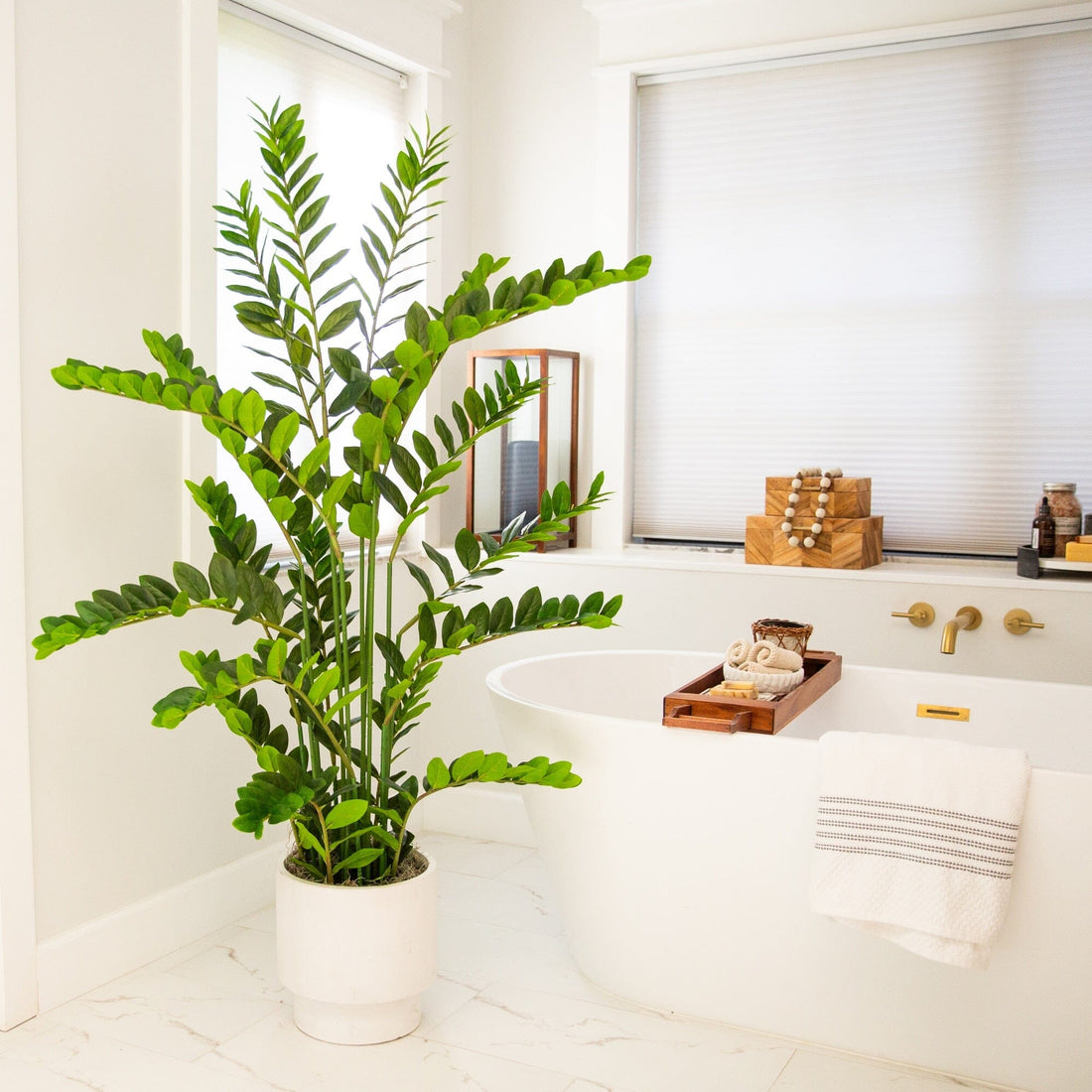 zz plant bathroom 5' Artificial Zamioculcas Plant – Nearly Natural