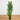 5' Artificial Zamioculcas Plant