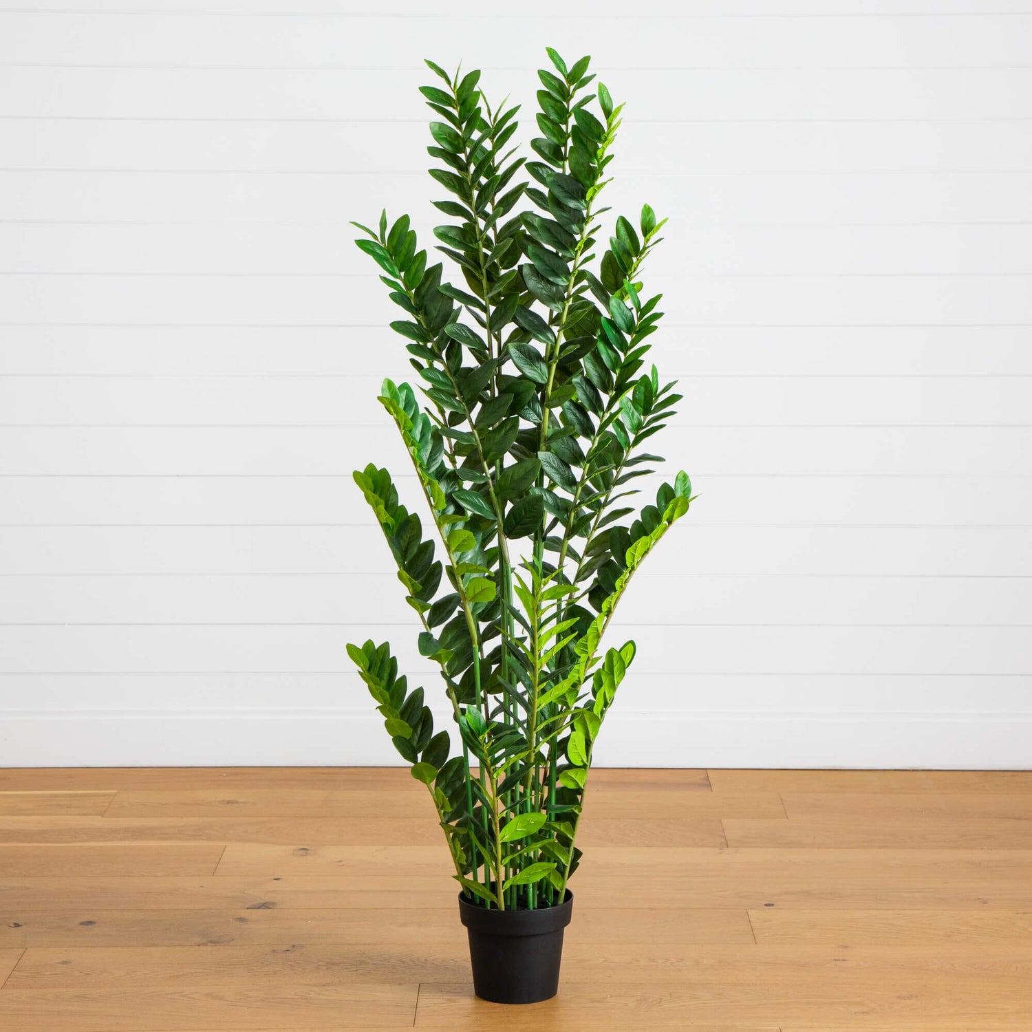 faux short zz plant 5' Artificial Zamioculcas Plant – Nearly Natural