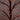 5' Pre-Lit Artificial Halloween Twig Tree with 360 Orange & Purple LED Lights