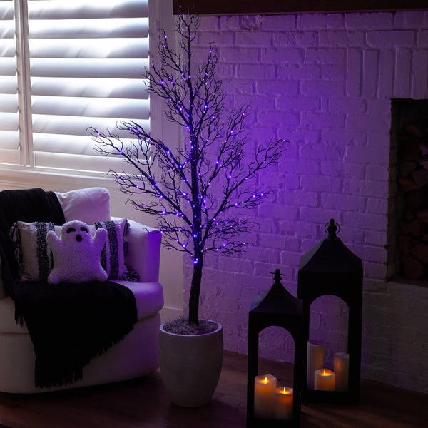 5' Pre-Lit Halloween Minimalist Twig Artificial Fall Tree with 240 Orange & Purple LED Lights