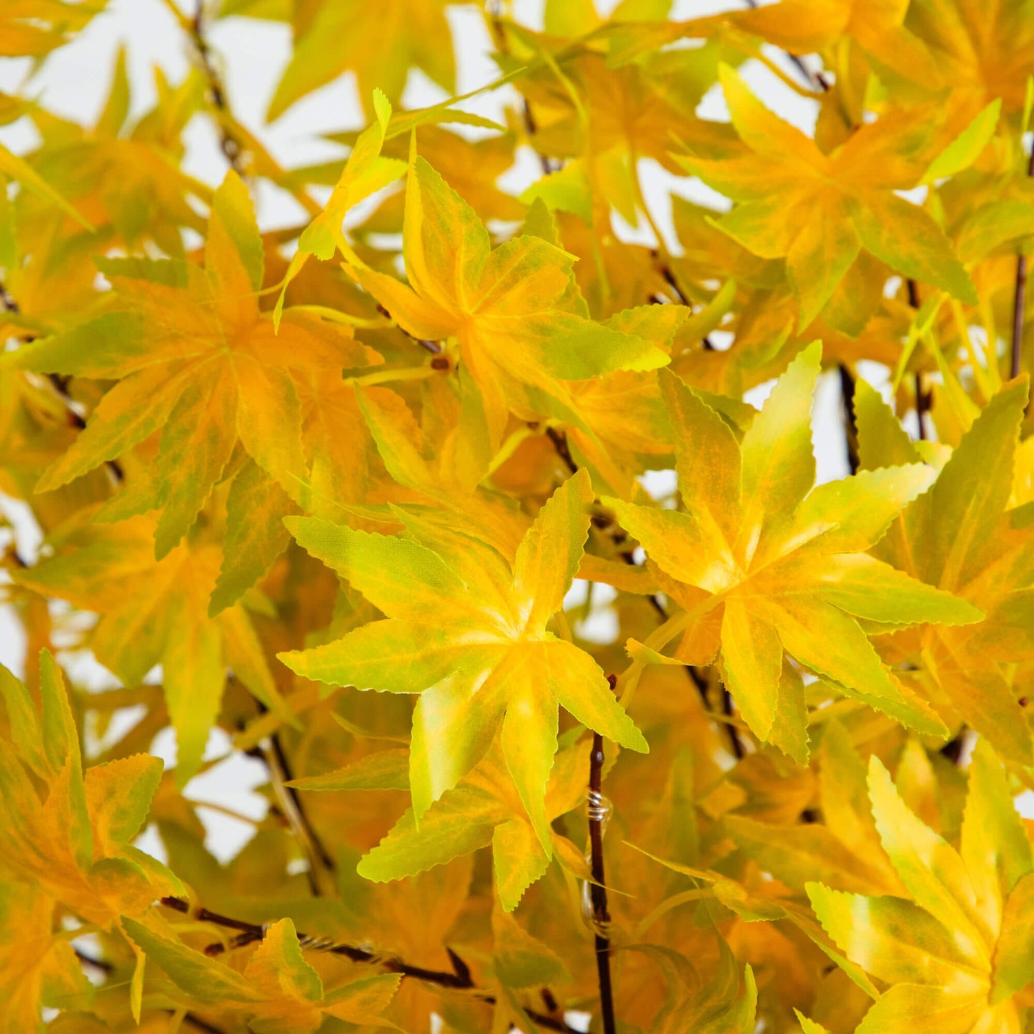 5' Pre-Lit Yellow Autumn Maple Artifical Fall Tree with 250 Warm White LED Lights