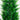5' UV Resistant Artificial Cypress Tower Tree (Indoor/Outdoor)